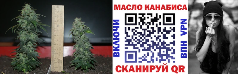 Дистиллят ТГК THC oil  Купить закладки  Удомля 