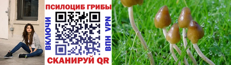 Галлюциногенные грибы Cubensis  Купить где  Удомля 