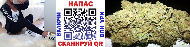 Купить где Удомля Шишки марихуана сатива